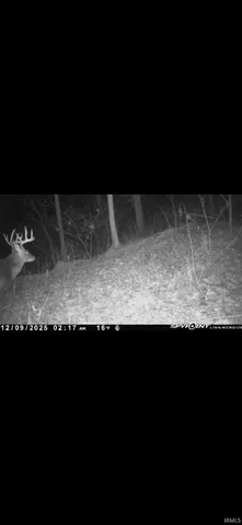 $260,000 | 6017 North Old 157, Worthington, IN 47471