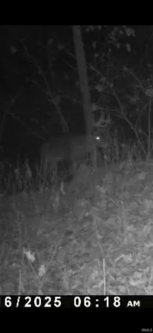 $260,000 | 6017 North Old 157, Worthington, IN 47471