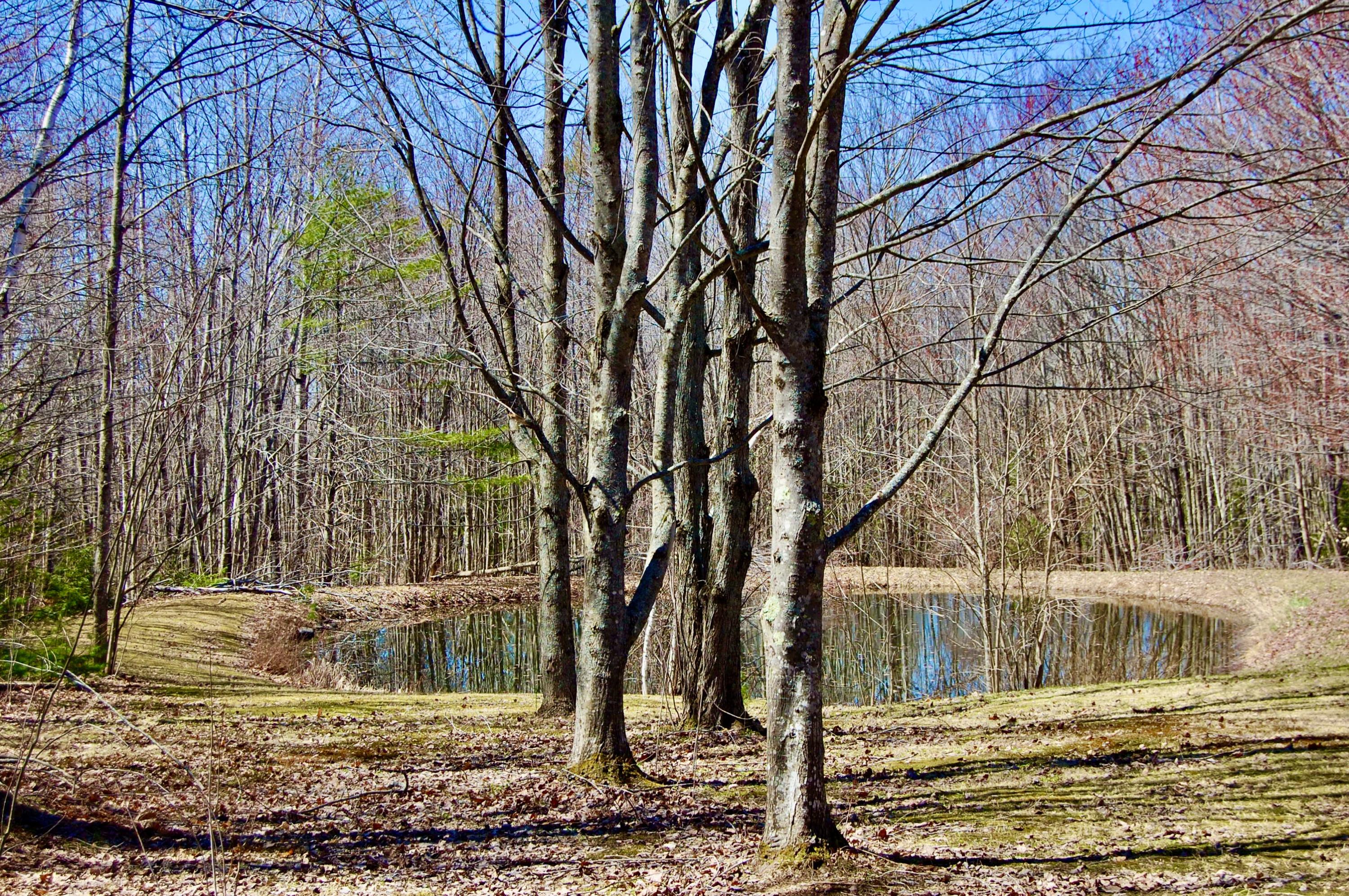 346 Cape Cod Hill Road New Sharon, ME 04955 - Photo 48 of 67 Pond3