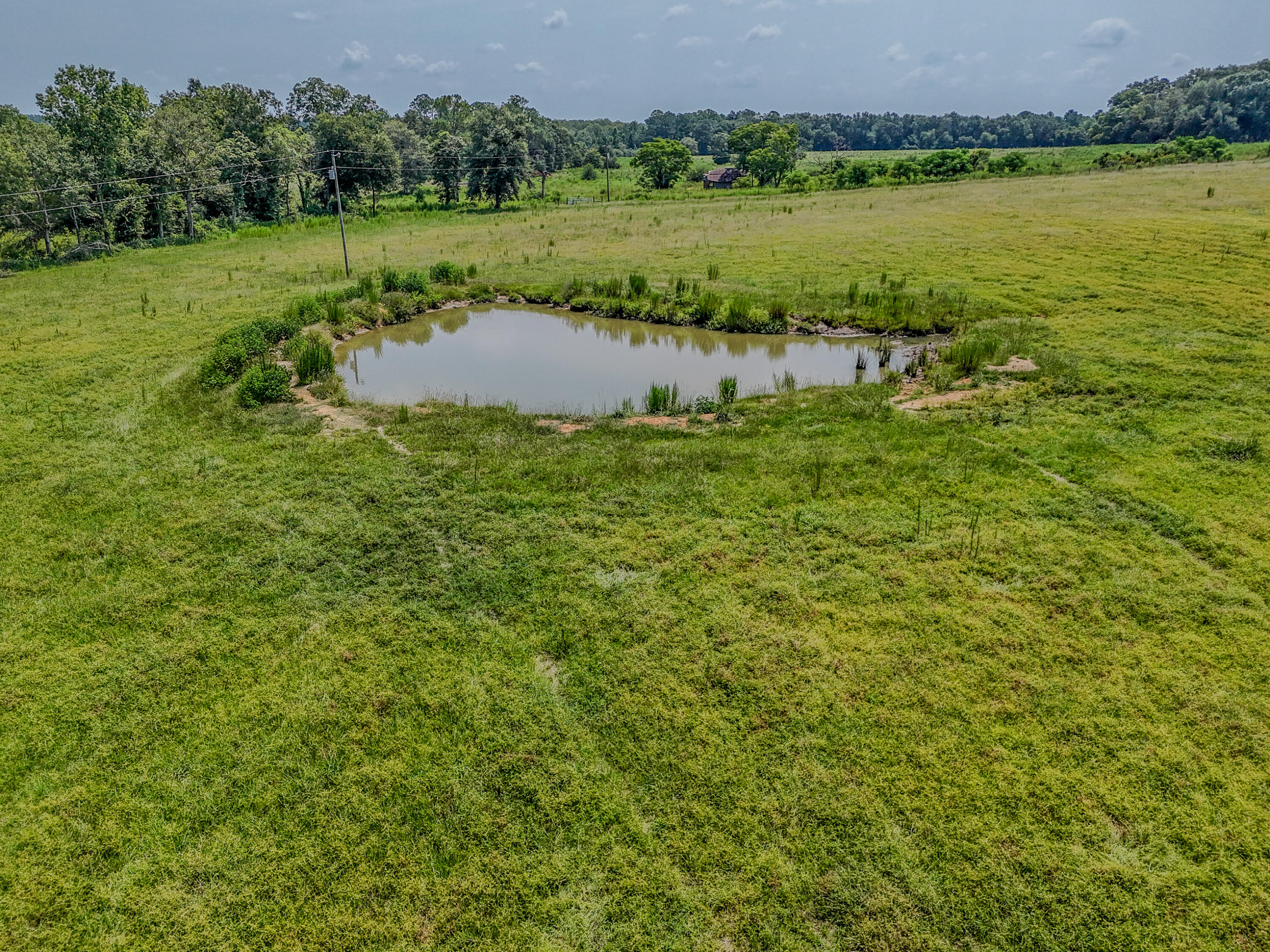 3958 Gopher Ridge Road Samson, AL 36477 - Photo 12 of 25 DJI_20260730003557_0019_D - Copy