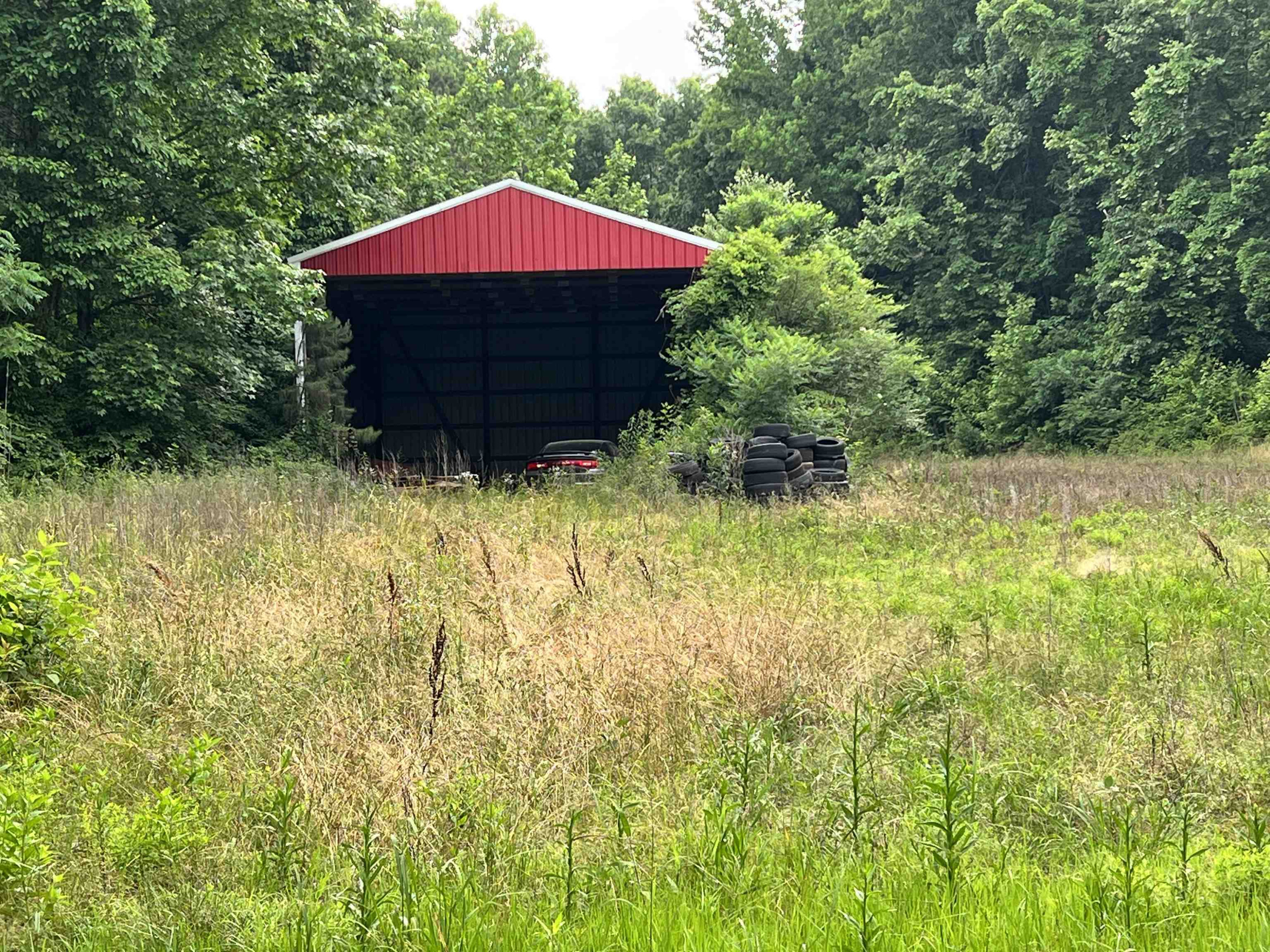 482 Ridley Chapel Road Reagan, TN 38368 - Photo 1 of 1 a yellow and red house covered with trees in the background