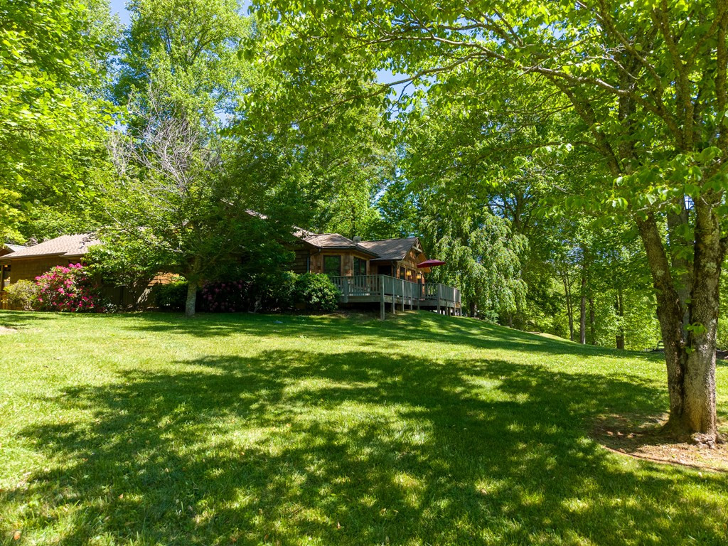 34 Shane Laughter Road Robbinsville, NC 28771 - Photo 3 of 55