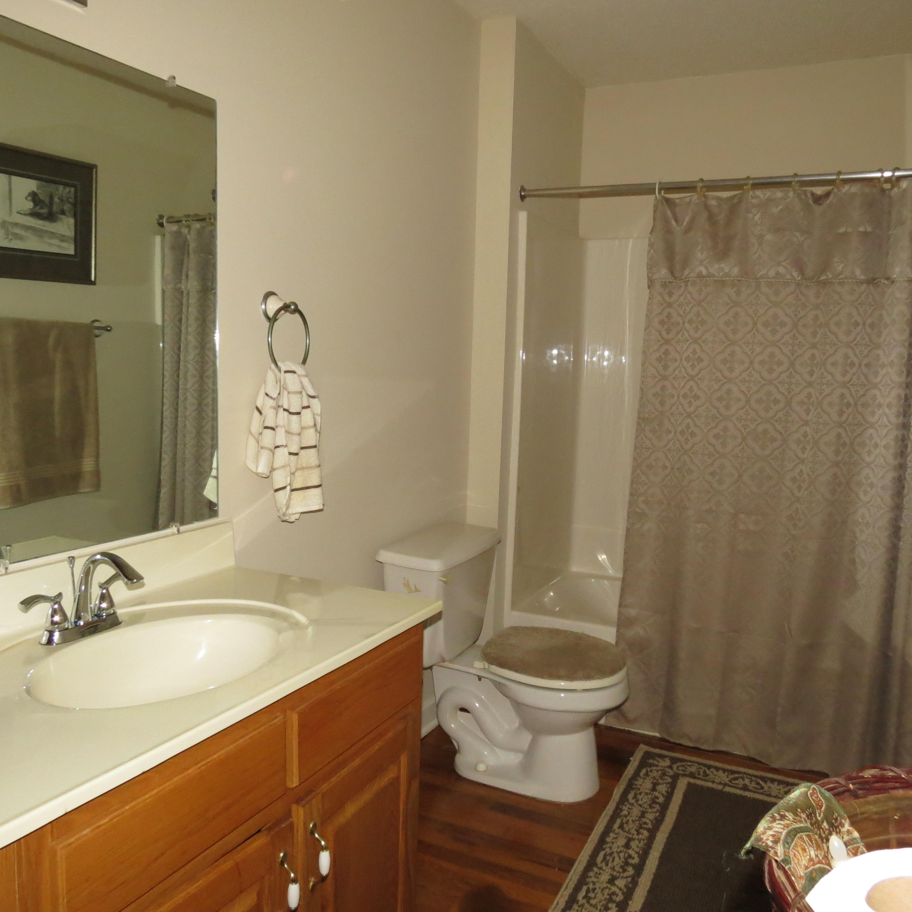 382 Cedar Ridge Road Coalfield, TN 37840 - Photo 16 of 21 IMG_0009