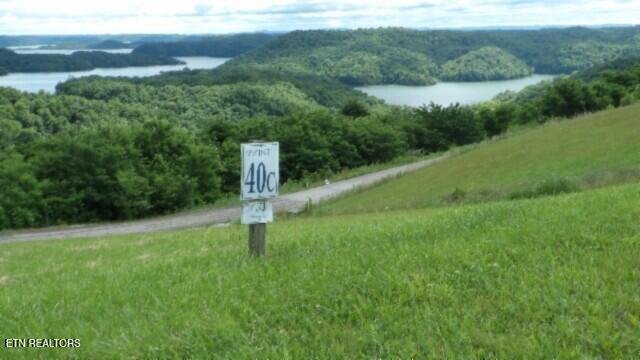 Lot 40 Swan Ridge Road Celina, TN 38551 - Photo 1 of 31 USE AS MAIN