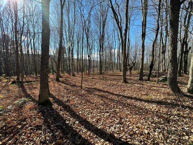 801 Bog Road Kingfield, ME 04947 - Photo 14 of 37 image7