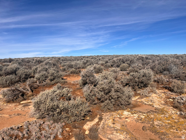 2 Sturgeon Road Monticello, UT 84535 - Photo 6 of 24 View of nature