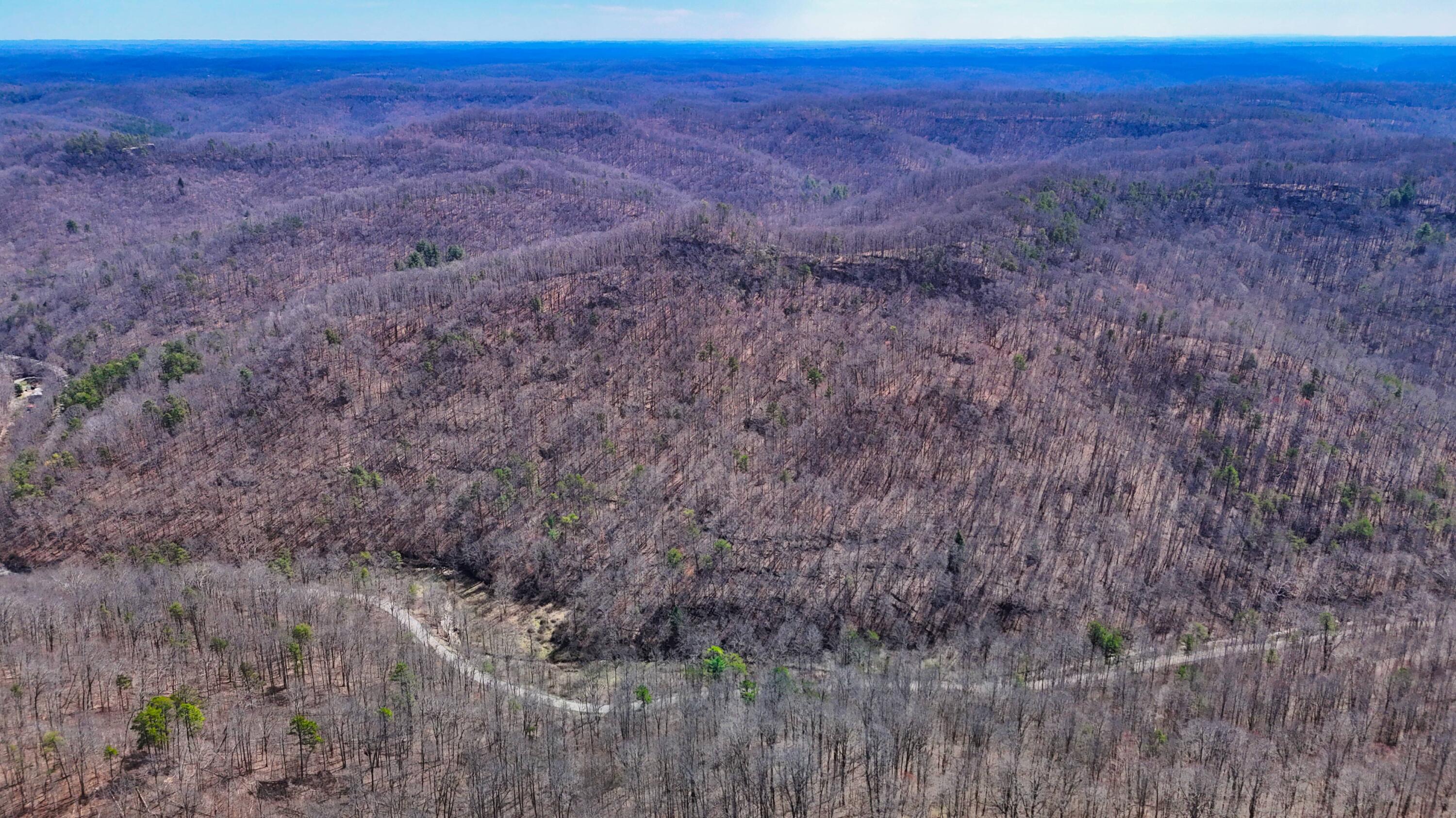 0 Sand Springs Road McKee, KY 40447 - Photo 12 of 58 DJI_20250318130115_0010_D