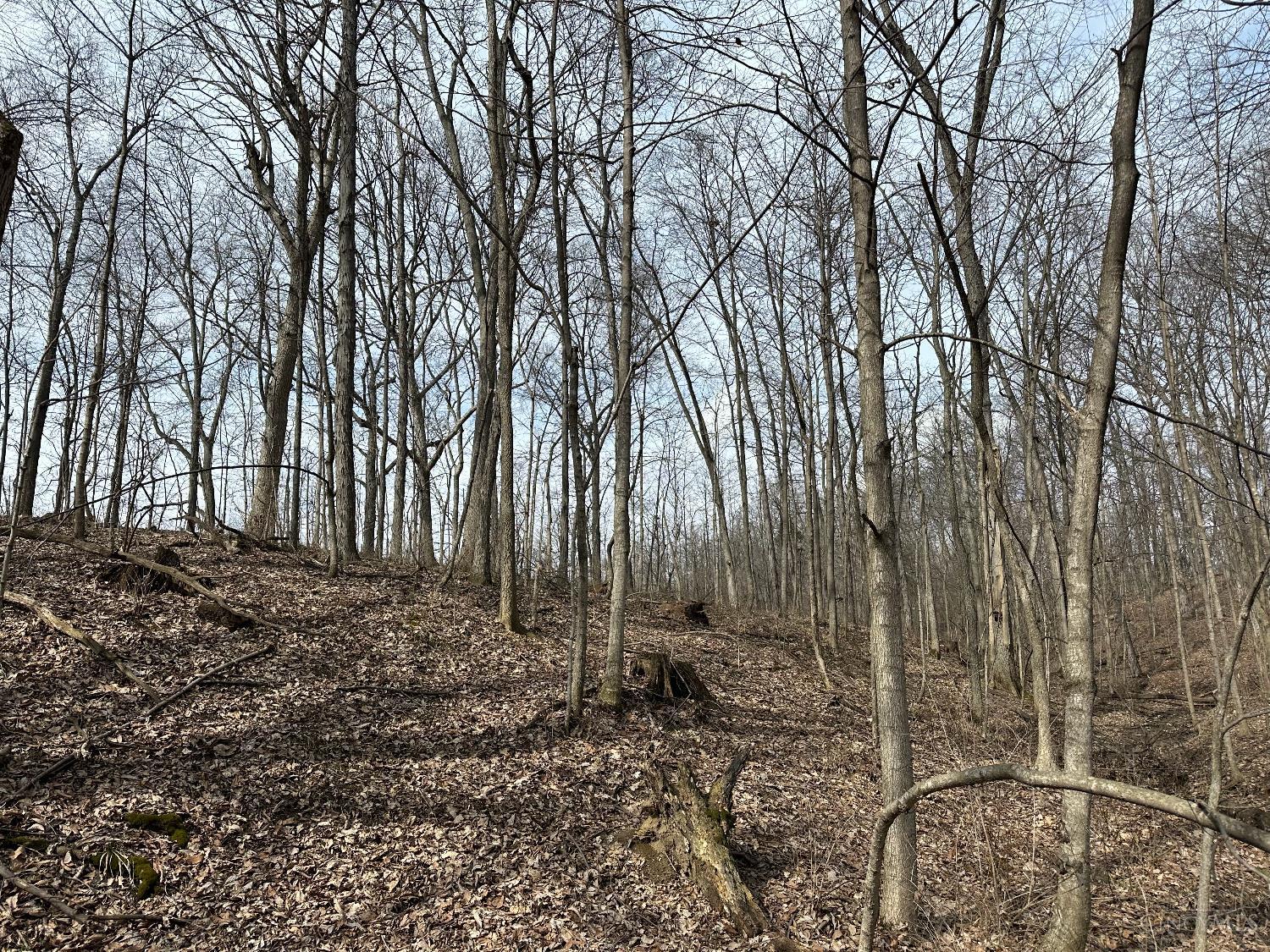 0 Wilson Road Winchester, OH 45697 - Photo 39 of 69