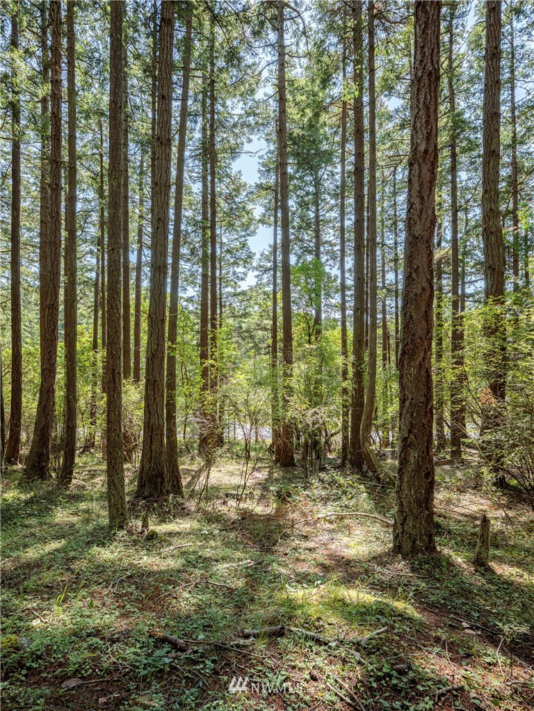 4057 Mud Bay Road Lopez Island, WA 98261 - Photo 4 of 6 Gallery Image 4