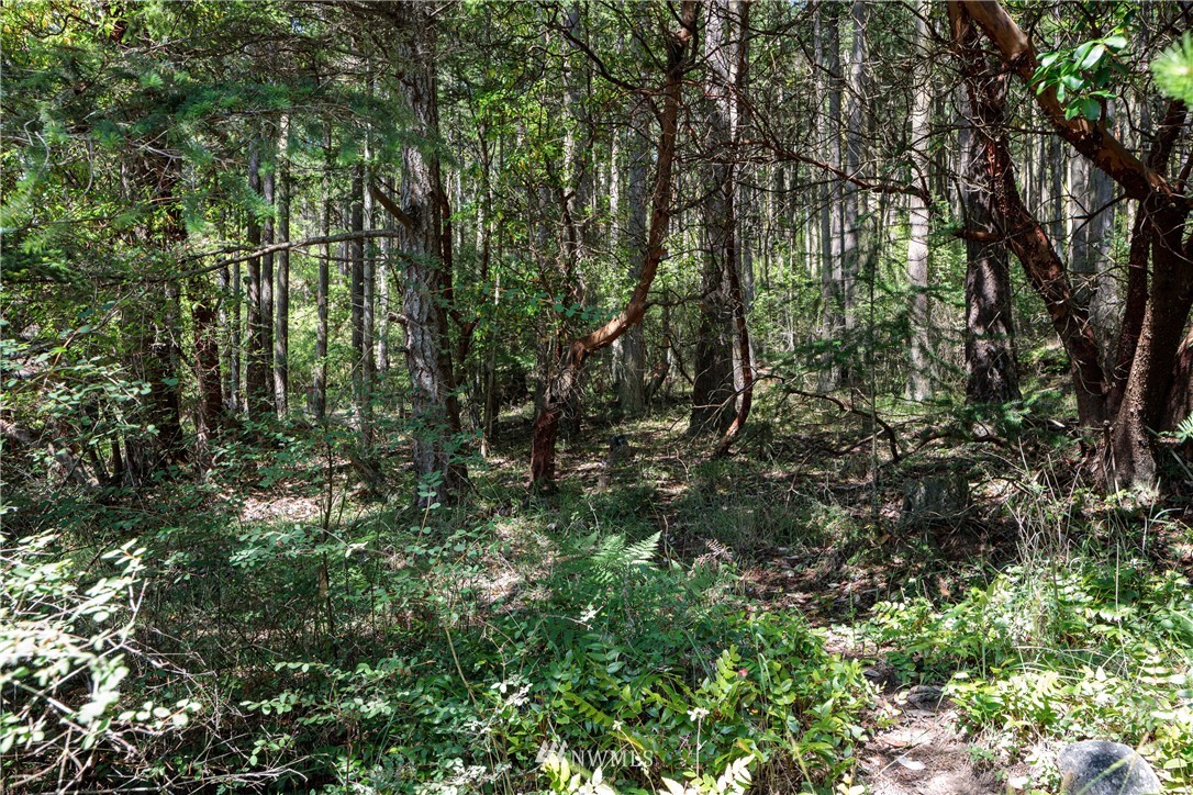4057 Mud Bay Road Lopez Island, WA 98261 - Photo 5 of 6 Gallery Image 5