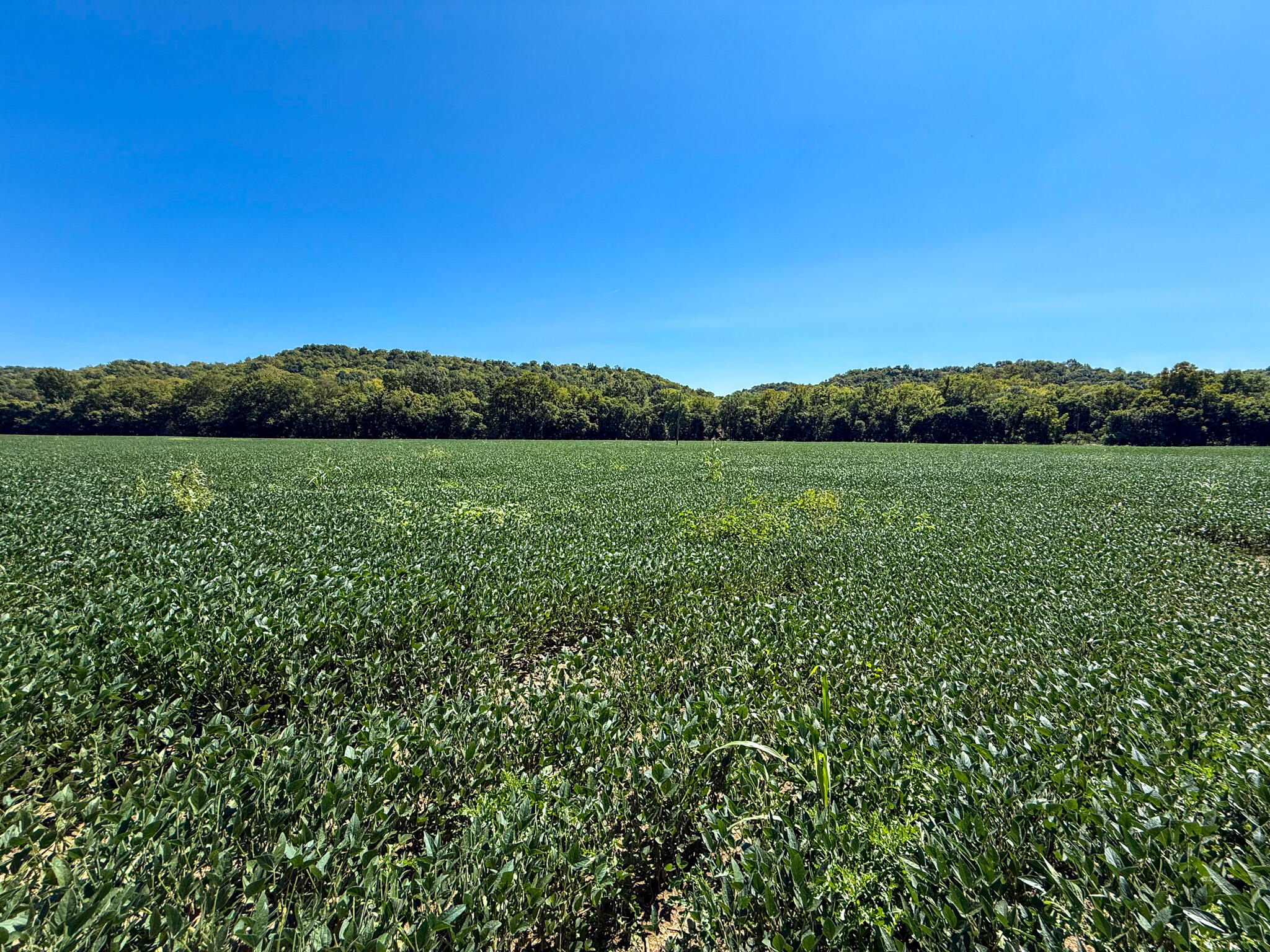 10008 Riddles Run Road Union, KY 41091 - Photo 2 of 50 Gallery Image 2