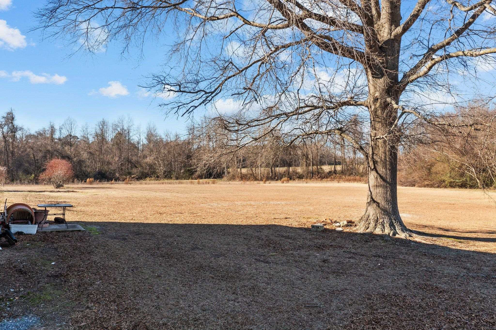 1783 Rains Crossroads Road Selma, NC 27576 - Photo 38 of 47 Photo 38