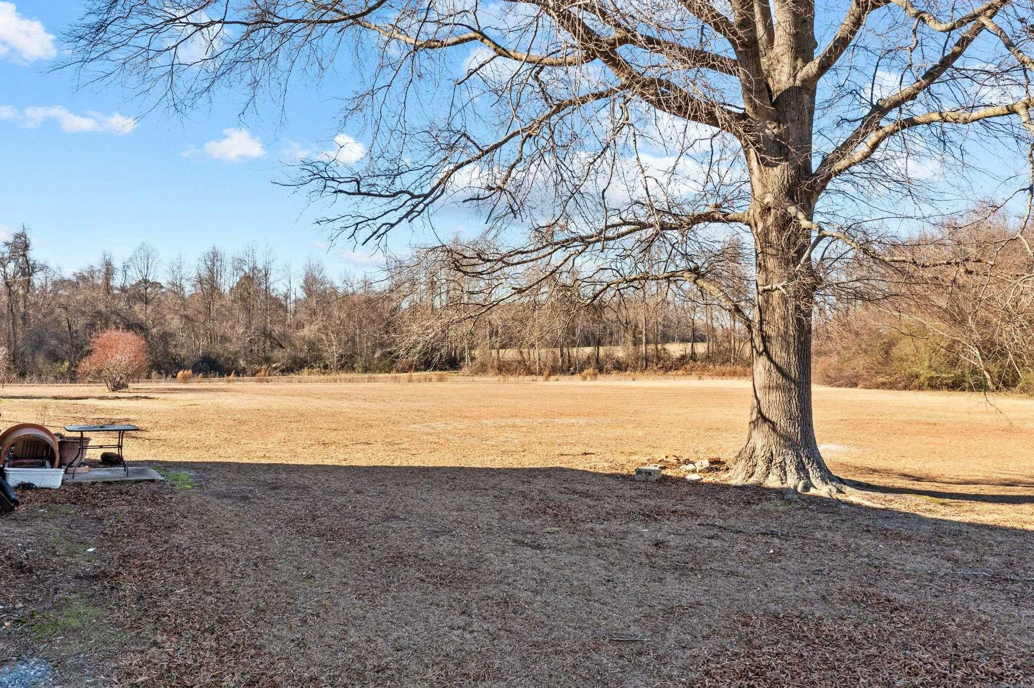 1783 Rains Crossroads Road Selma, NC 27576 - Photo 39 of 47 Photo 39