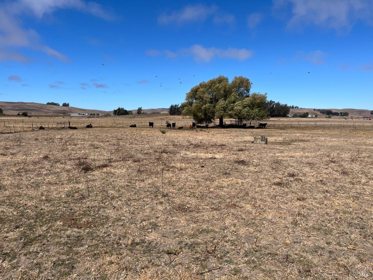 530 Tomales Road Petaluma, CA 94952 - Photo 29 of 32 a view of ocean and mountain