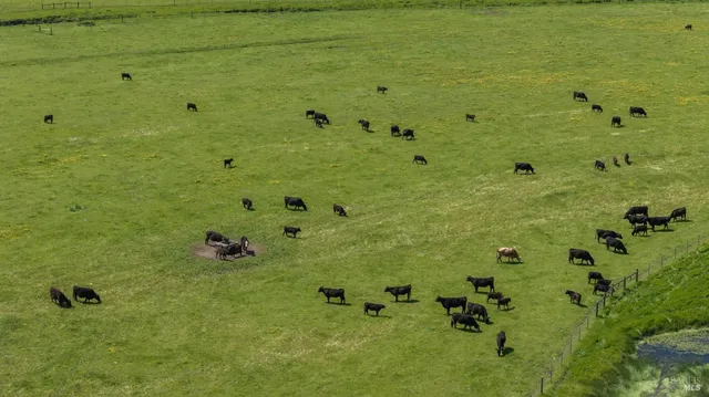 $2,599,000 | 530 Tomales Road, Petaluma, CA 94952