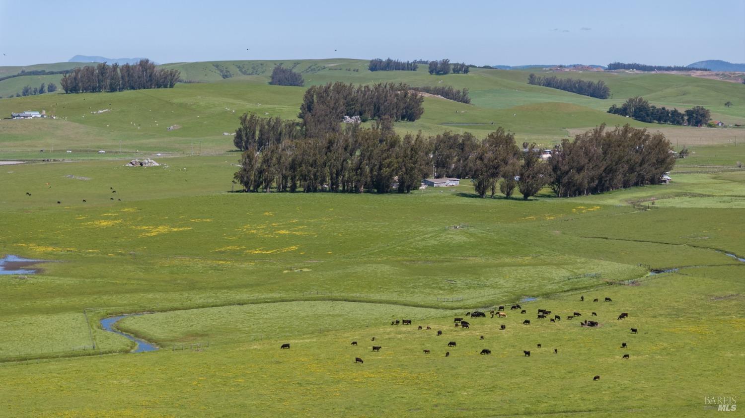 530 Tomales Road Petaluma, CA 94952 - Photo 10 of 32
