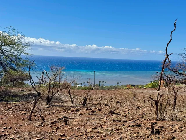 a view of a beach with a mountain
