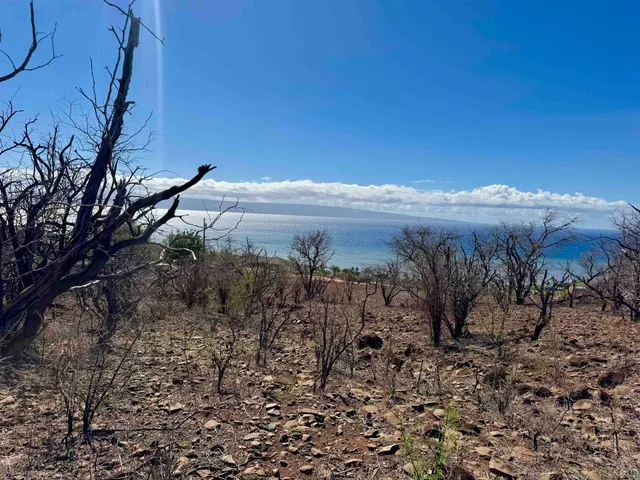 a view of a lake with a mountain in the background
