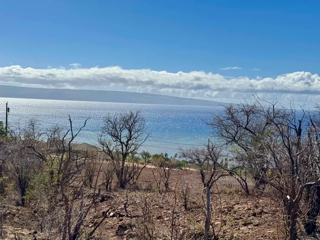 a view of a yard of a building