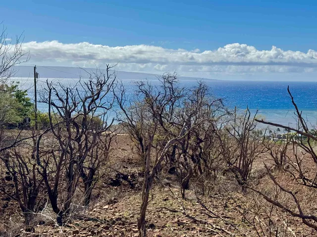 a view of mountain covered with snow