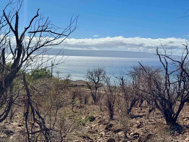 a view of a dry yard with wooden fence
