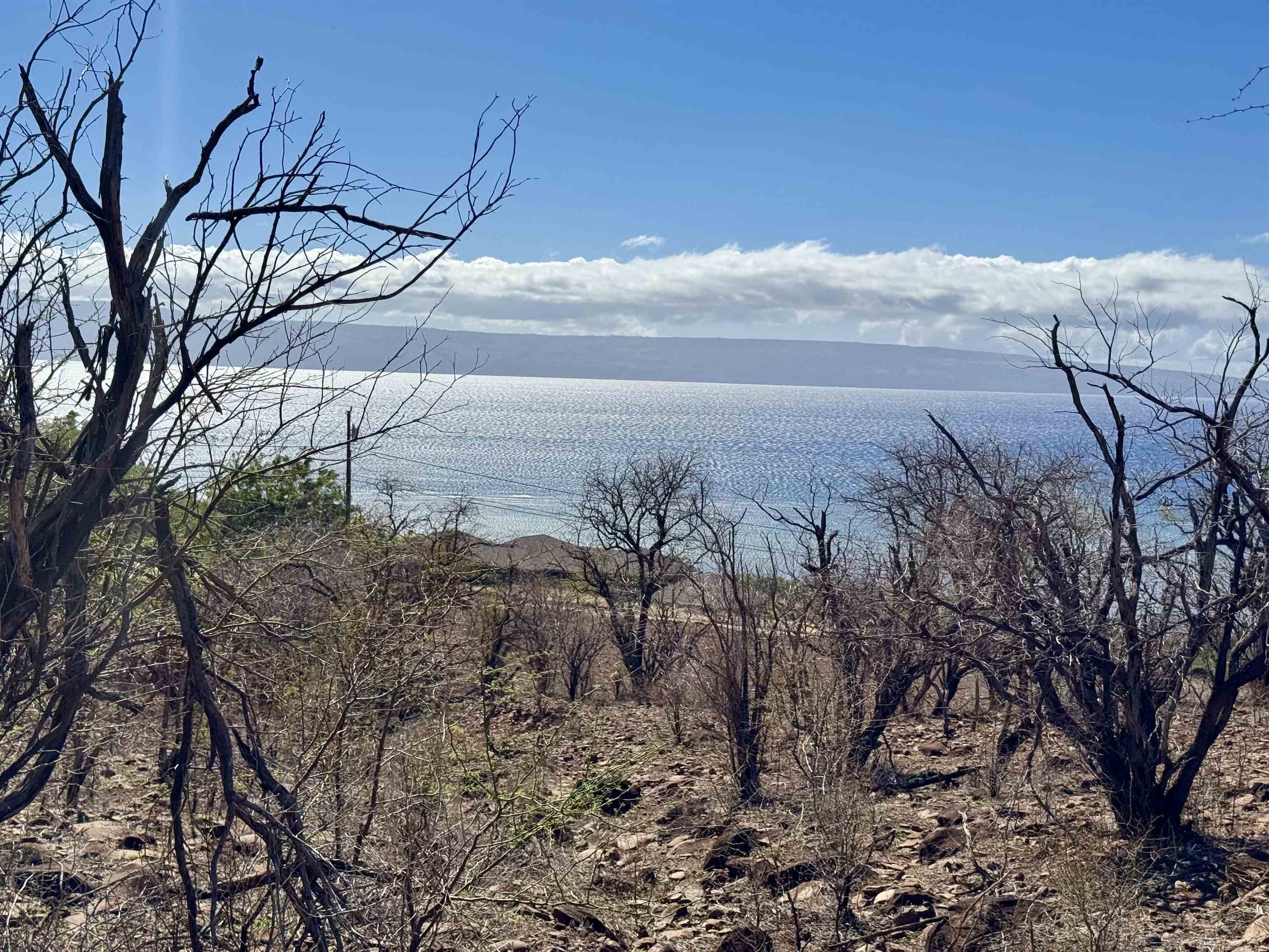 Uluanui Road, Unit 126 Kaunakakai, HI 96748 - Photo 6 of 20 a view of a dry yard with wooden fence