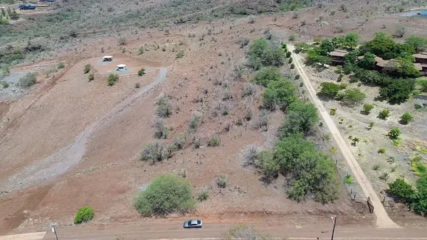 a view of a dry yard with trees in the background
