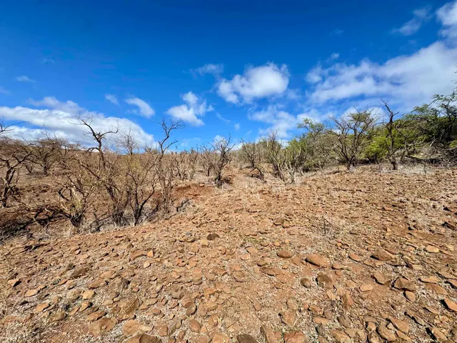 a view of a snow on a field