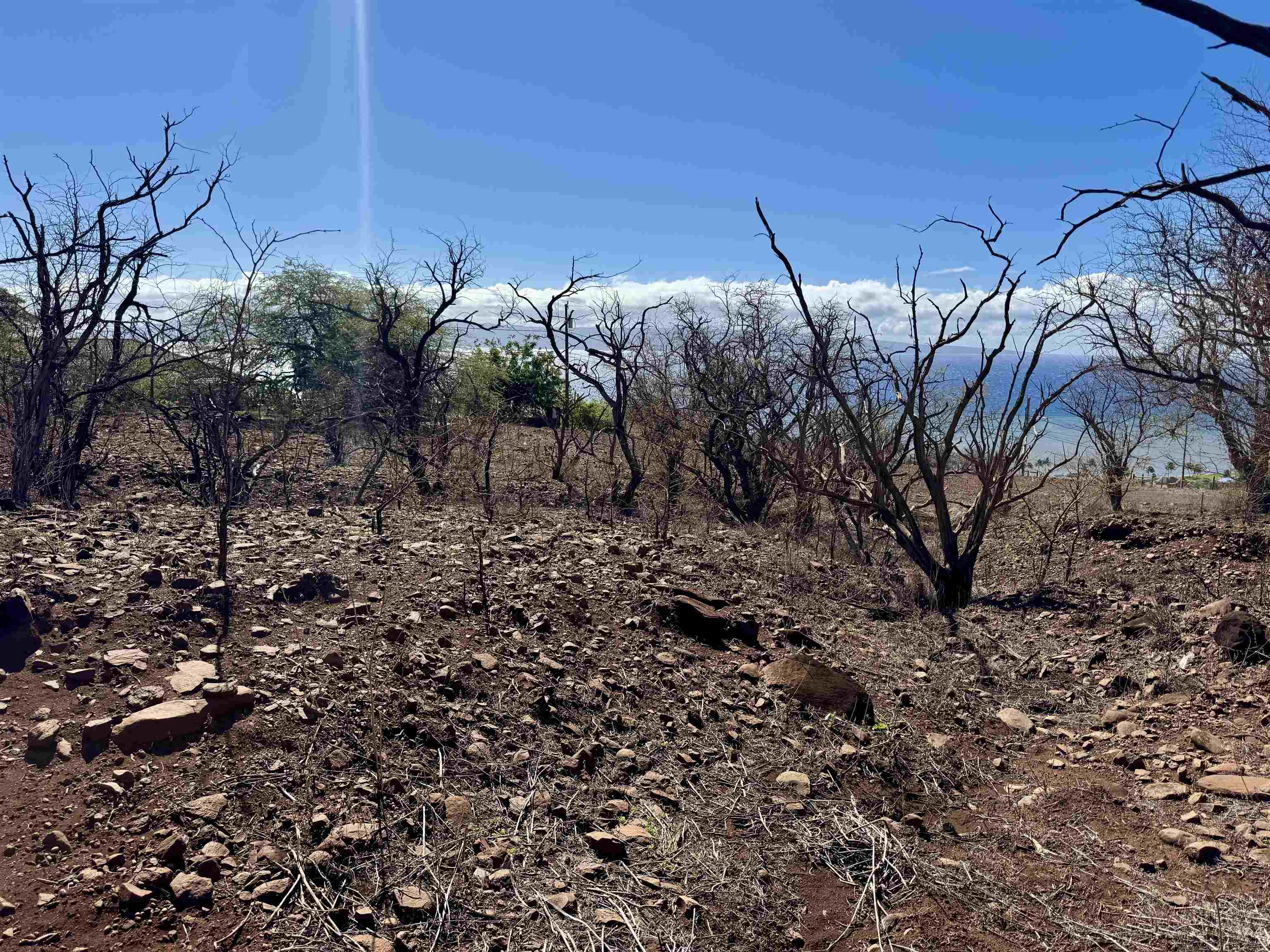 Uluanui Road, Unit 126 Kaunakakai, HI 96748 - Photo 10 of 20 a view of a backyard