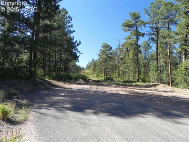 4369 Elati Road Larkspur, CO 80118 - Photo 12 of 16 Gallery Image 12