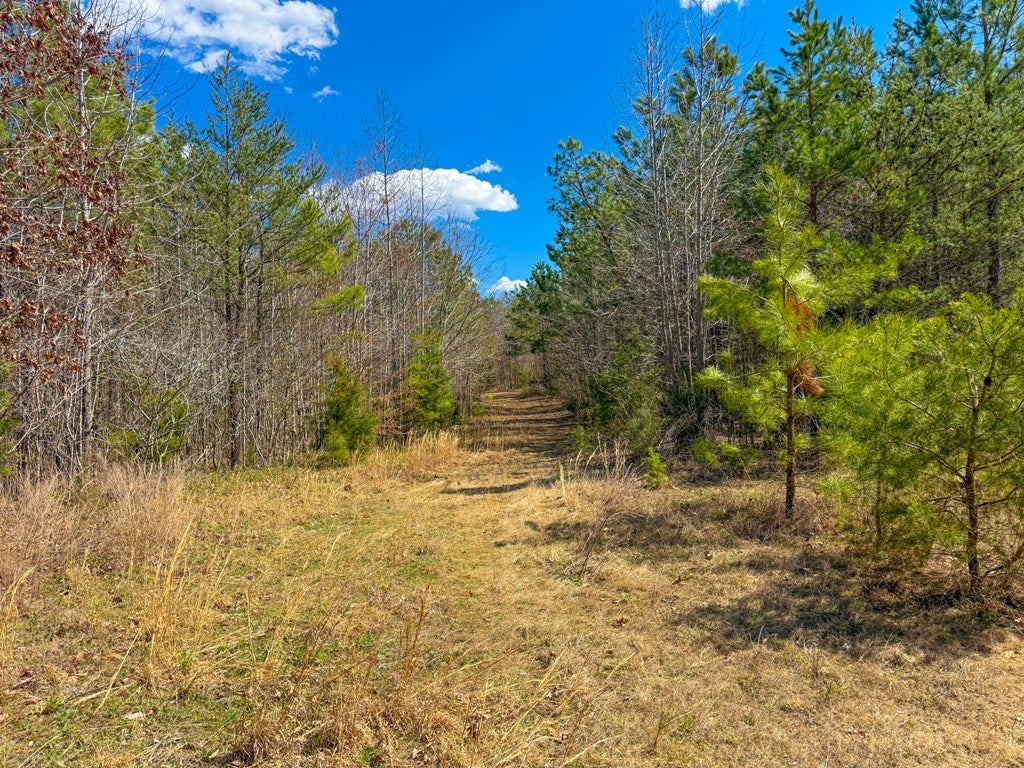 Mountain Hall Road Crewe, VA 23930 - Photo 23 of 24 Gallery Image 23
