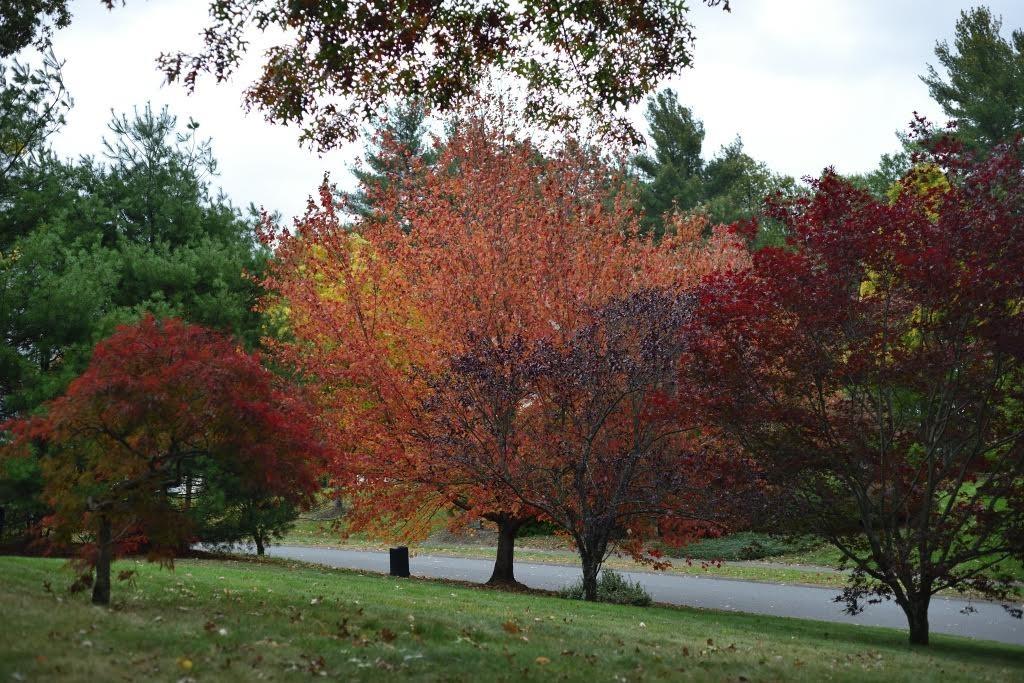 12 Tanglewood Road Amherst, MA 01002 - Photo 42 of 42 Gallery Image 42