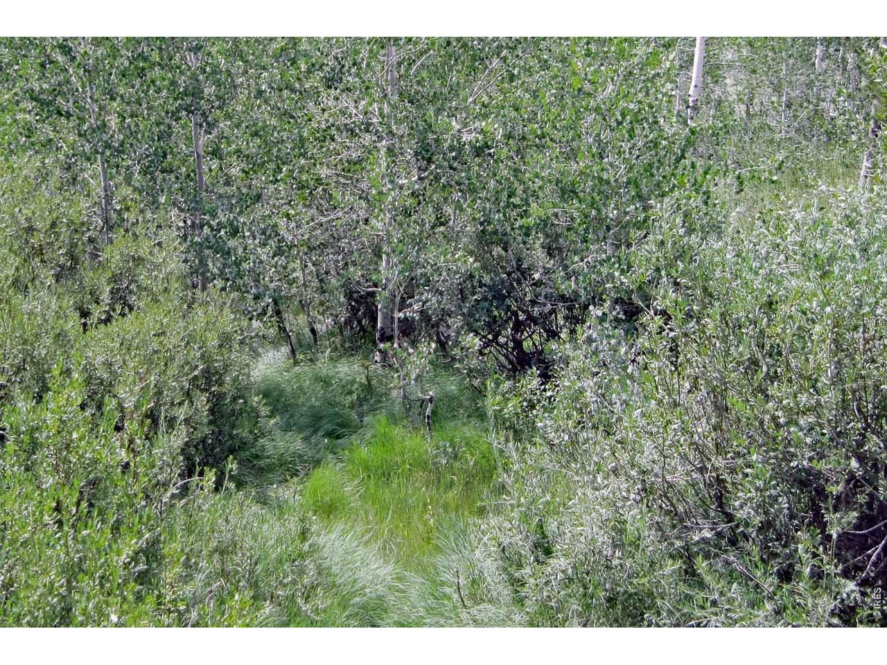Wilderness Ranch Road Livermore, CO 80536 - Photo 2 of 11