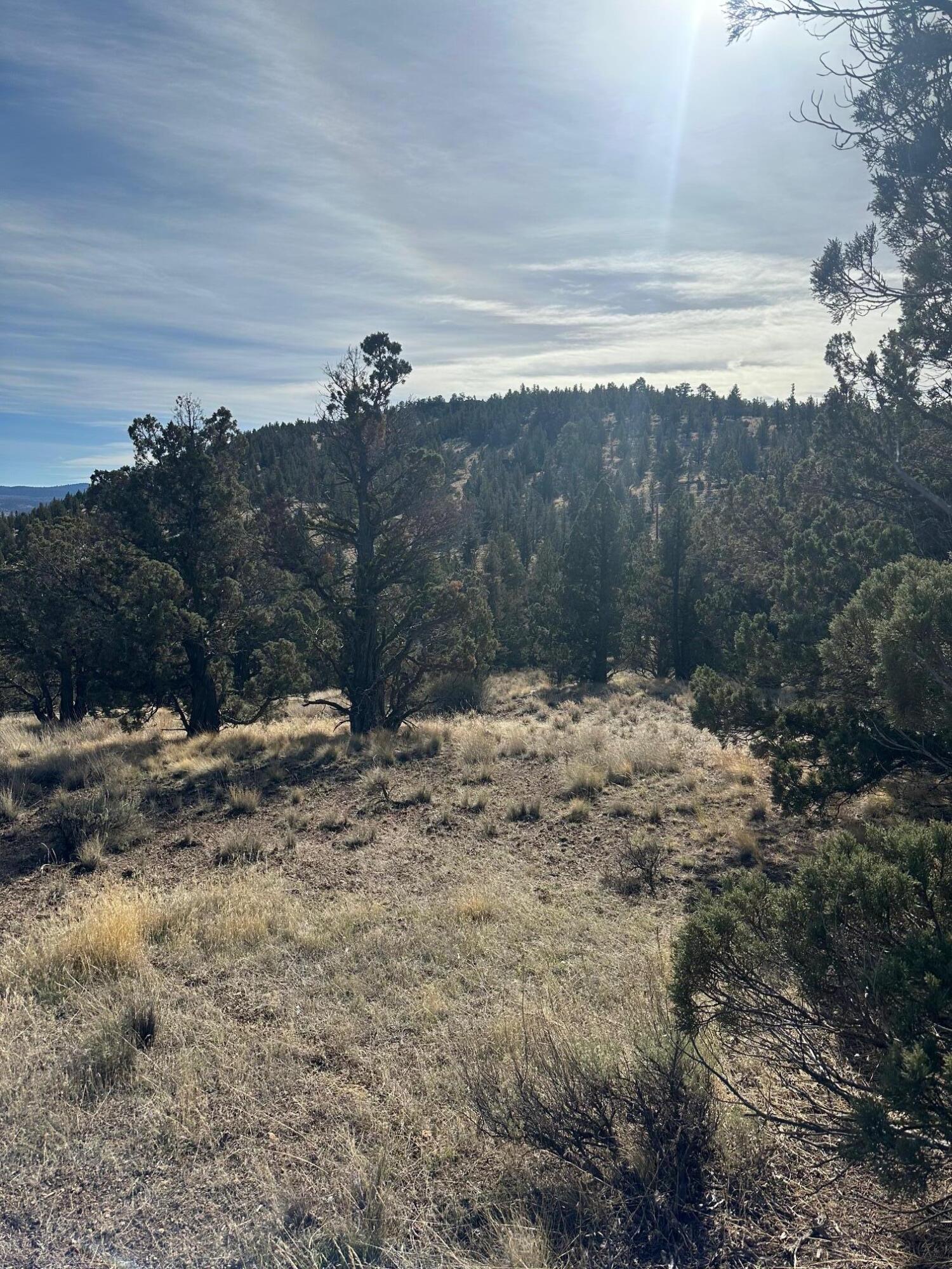 Southeast Renegade Loop Prineville, OR 97754 - Photo 4 of 8