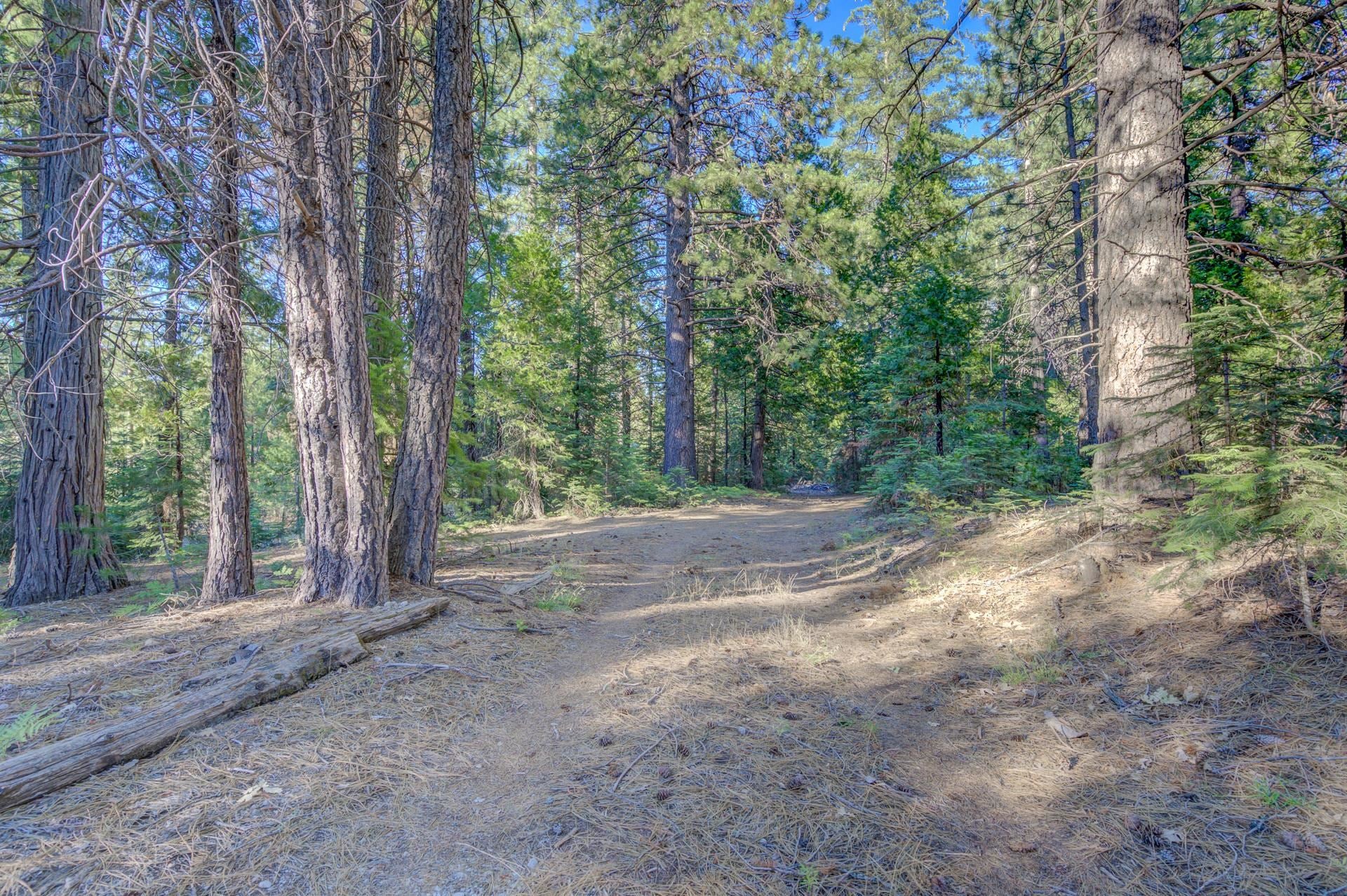 7729 Sugar Pine Road Weed, CA 96094 - Photo 14 of 26 Gallery Image 14