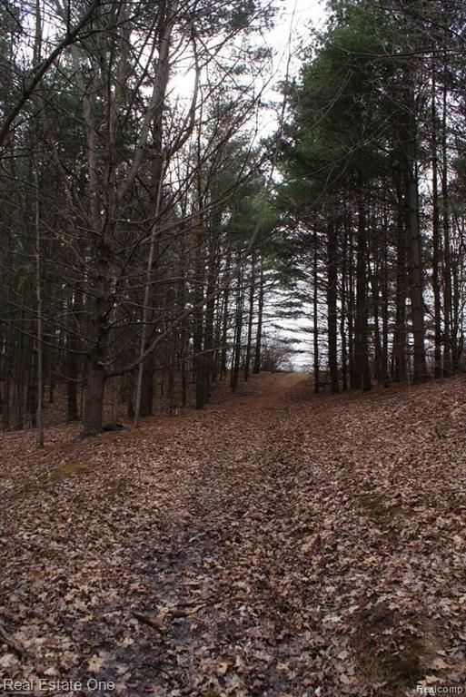 861 Lake Nepessing Road Lapeer, MI 48446 - Photo 8 of 17