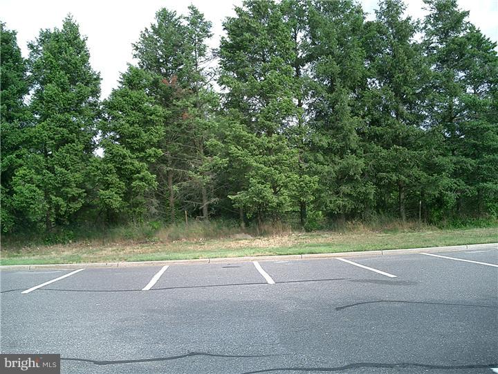 431 Egg Harbor Road Sewell, NJ 08080 - Photo 16 of 16 Gallery Image 16