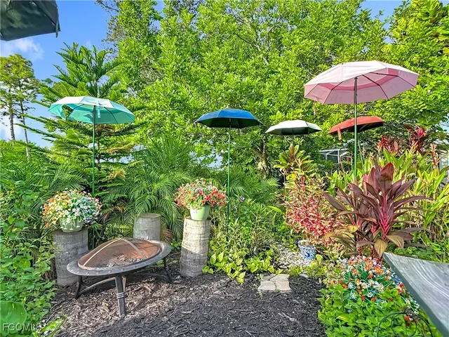 a view of a backyard with plants and a chair