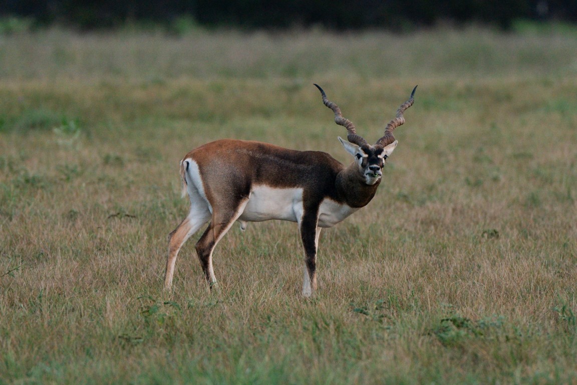 199 High Point Drive Kempner, TX 76539 - Photo 28 of 38 a picture of a bathroom