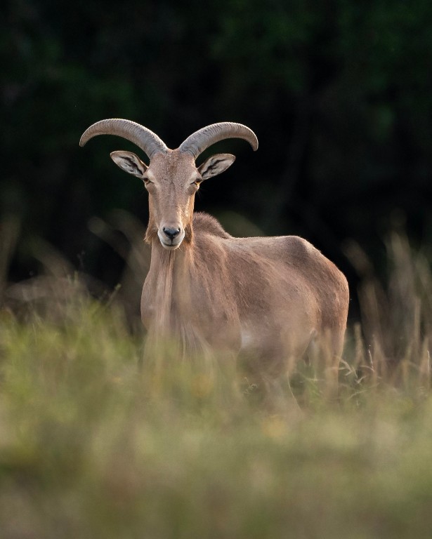 199 High Point Drive Kempner, TX 76539 - Photo 34 of 38 a close up of a sink