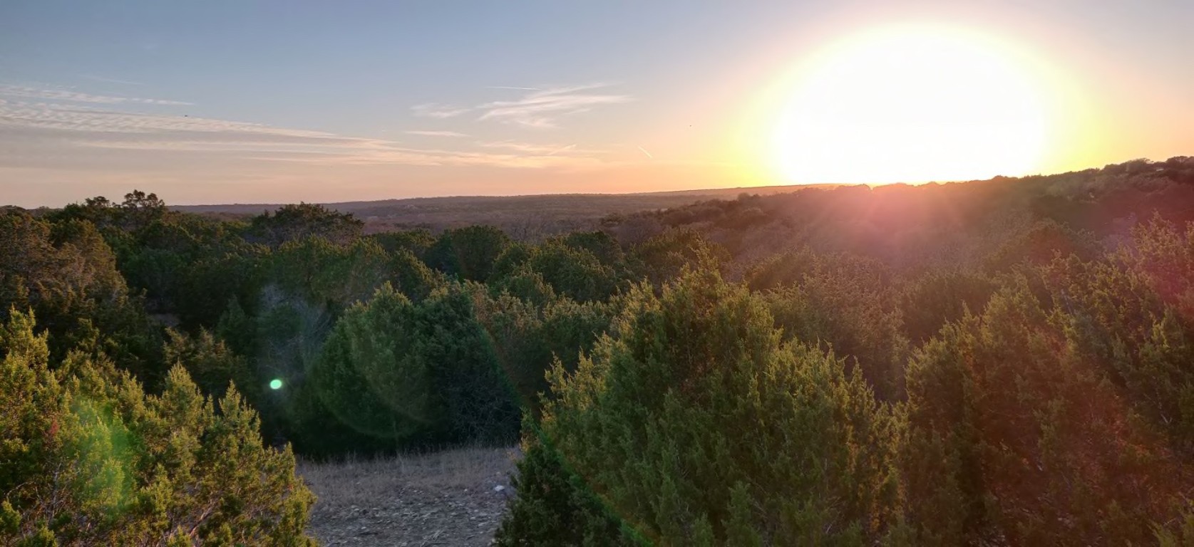 199 High Point Drive Kempner, TX 76539 - Photo 38 of 38 a view of a city with lush green forest