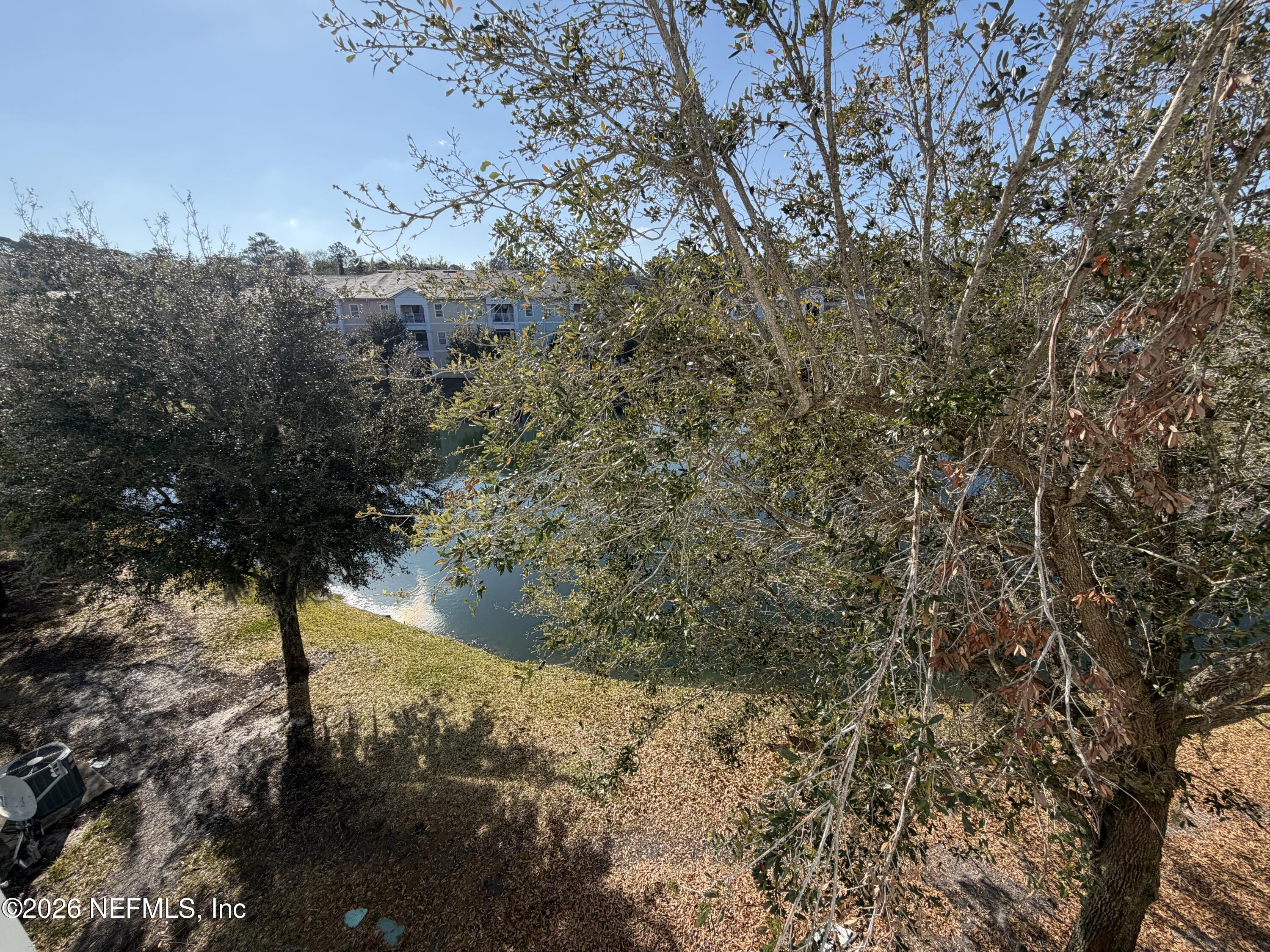 8218 Green Parrot Road, Unit 308 Jacksonville, FL 32256 - Photo 21 of 25 a view of a tree in a yard