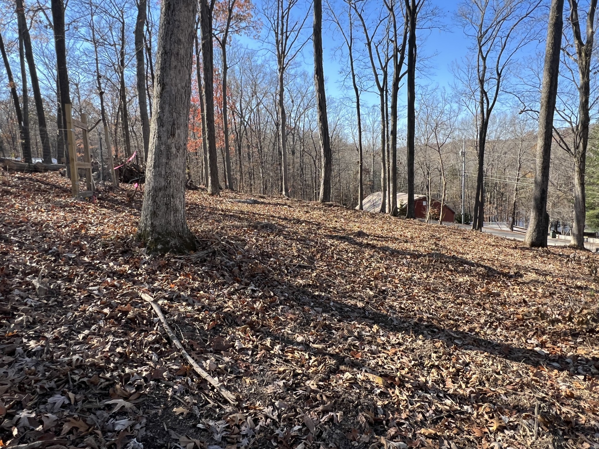 559 Hickman Shores Road Dover, TN 37058 - Photo 10 of 11 Gallery Image 10