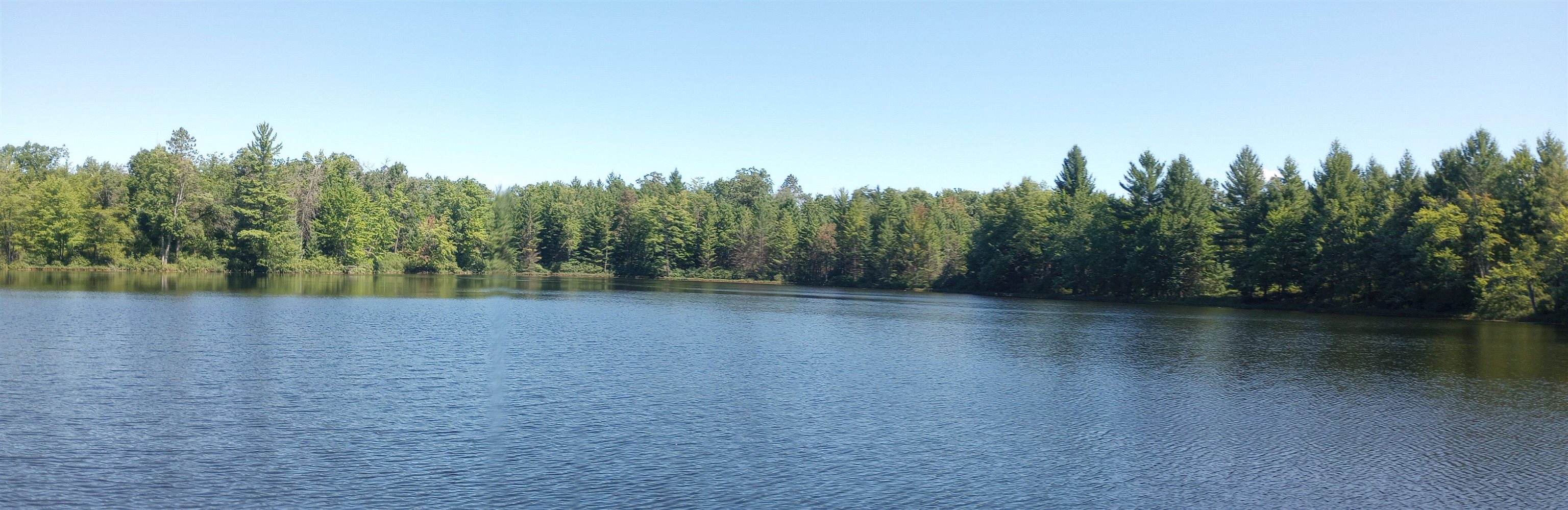 5500 County Line Road Hale, MI 48739 - Photo 53 of 59