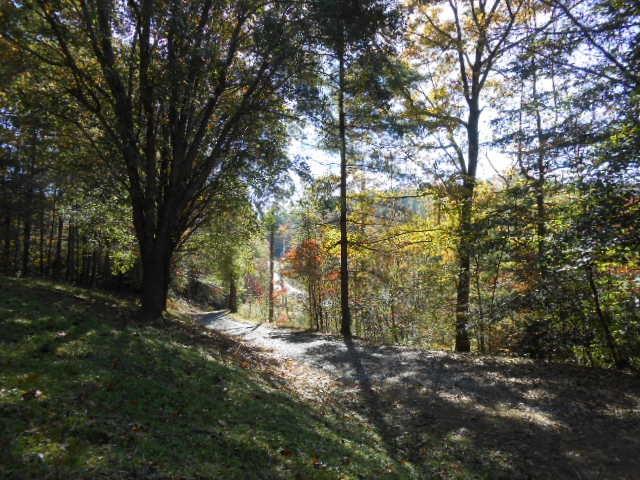 1790 Abington Road Lenoir, NC 28645 - Photo 9 of 32 Gallery Image 9