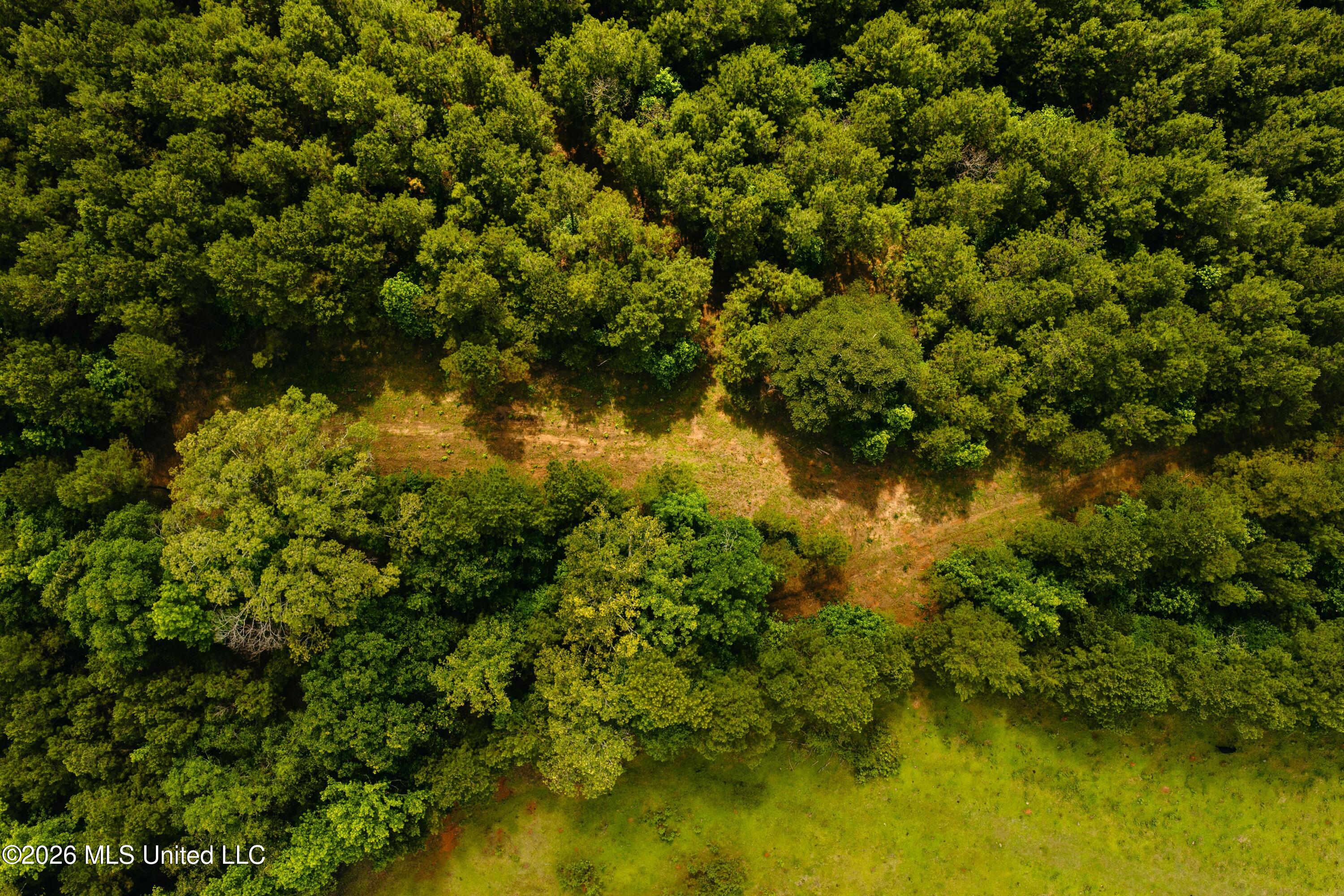 10843 Reservation Road Philadelphia, MS 39350 - Photo 17 of 42 DJI_20260523042216_0469_D