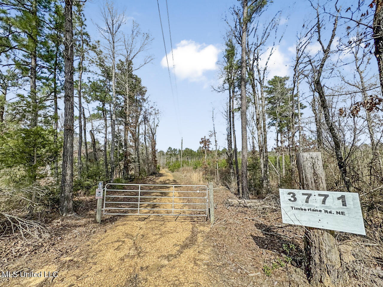3771 Northeast Timberline Road Wesson, MS 39191 - Photo 15 of 49 IMG_4184 Large