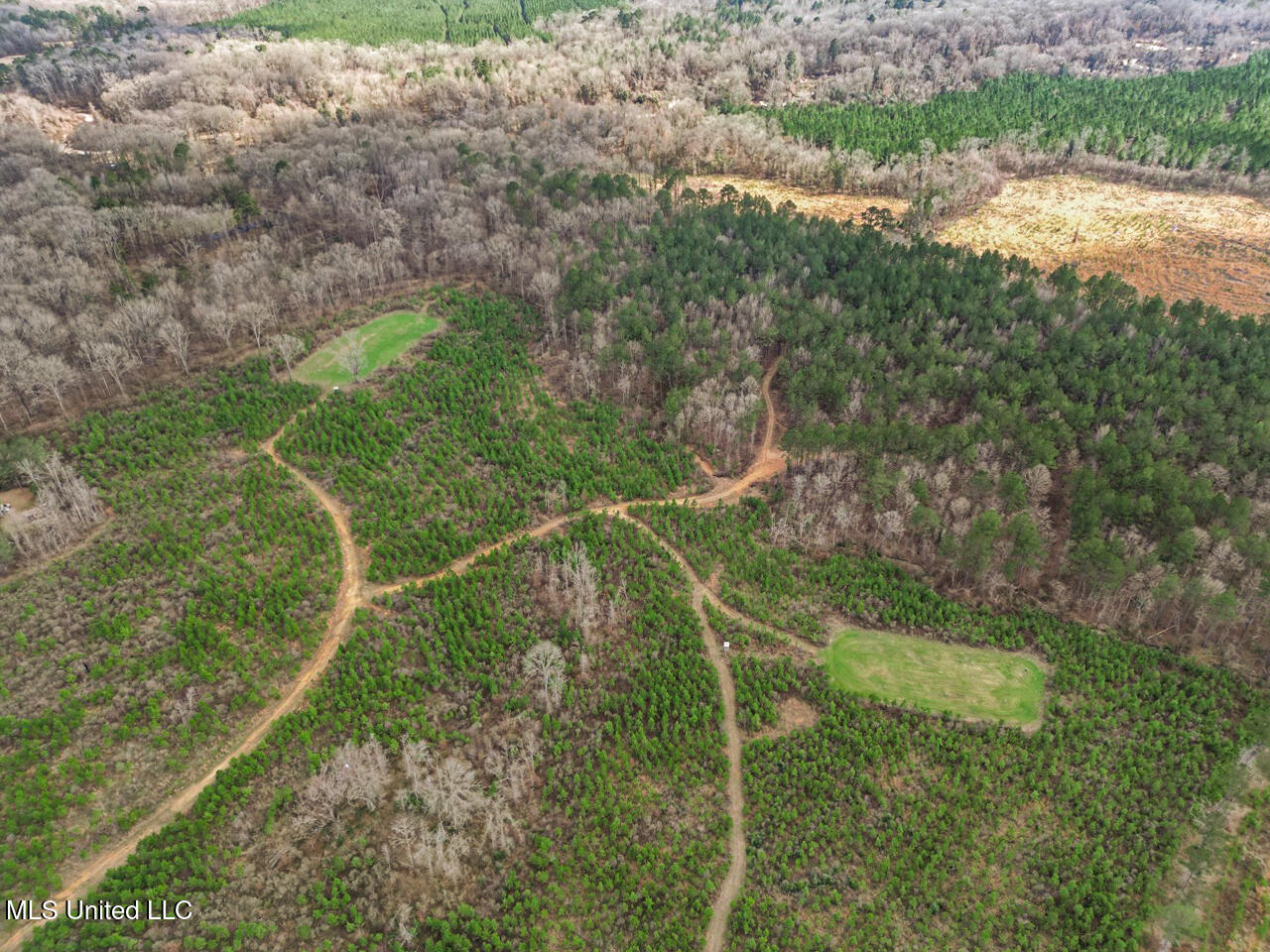 3771 Northeast Timberline Road Wesson, MS 39191 - Photo 2 of 49 DJI_0890 Large