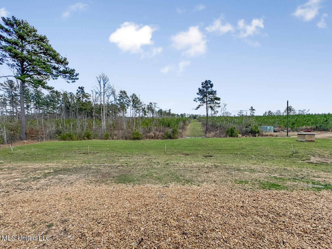 3771 Northeast Timberline Road Wesson, MS 39191 - Photo 28 of 49 IMG_4200 Large