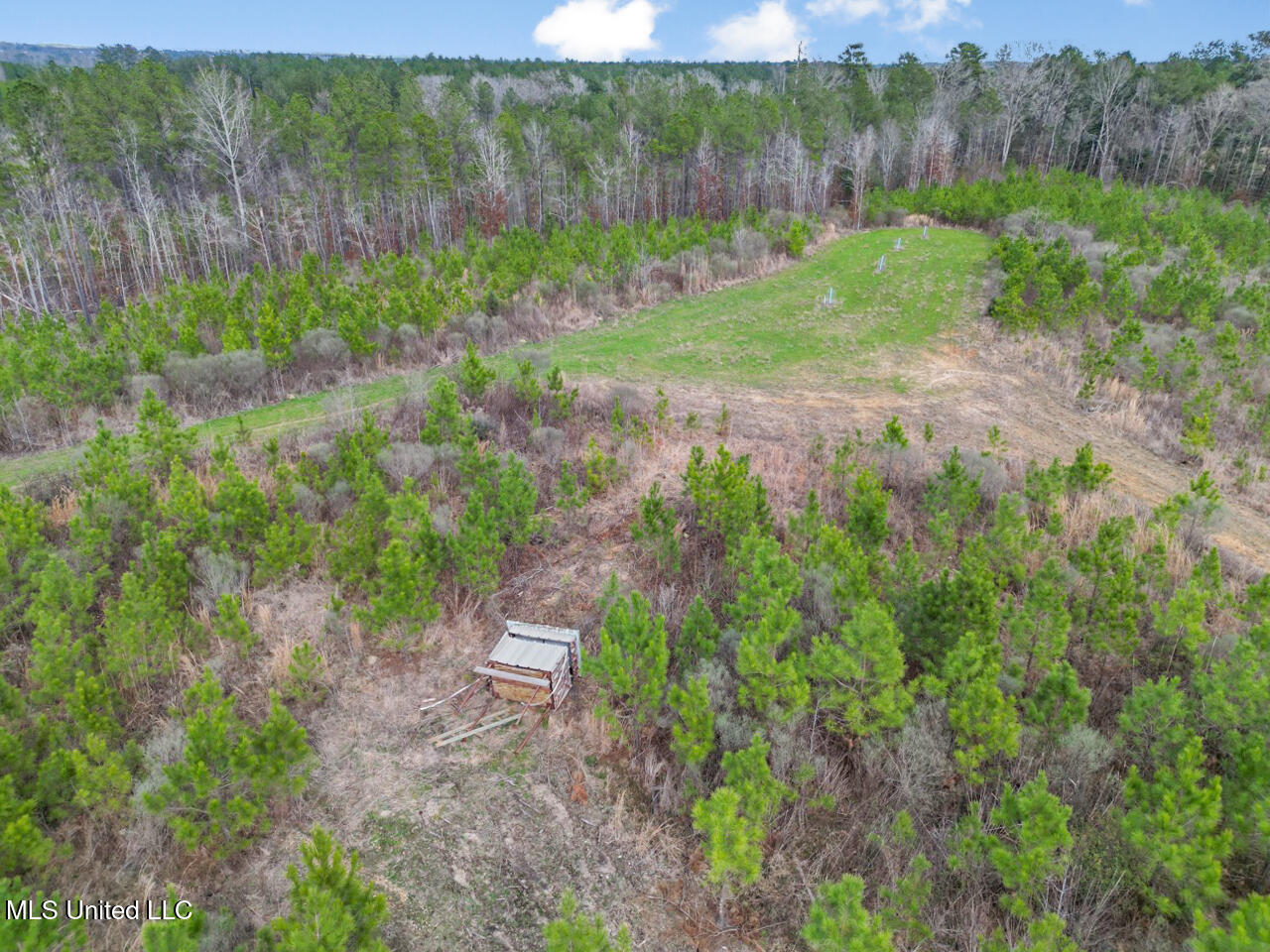 3771 Northeast Timberline Road Wesson, MS 39191 - Photo 3 of 49 DJI_0897 Large